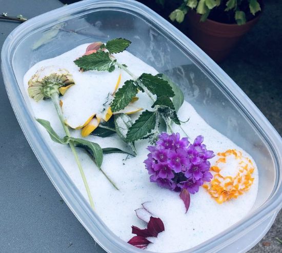 گل های قرار داده شده درون ظرف پر از سیلیکا ژل