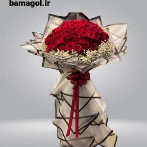 دسته گل رز هلندی 80 شاخه و ژیپسو