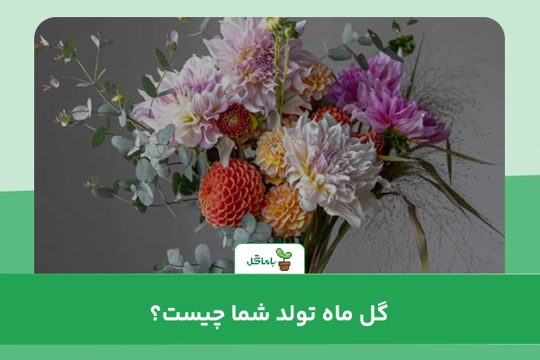 گل ماه تولد شما چیست؟