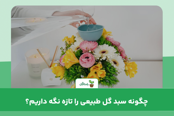 چگونه سبد گل طبیعی را تازه و شاداب نگه داریم؟